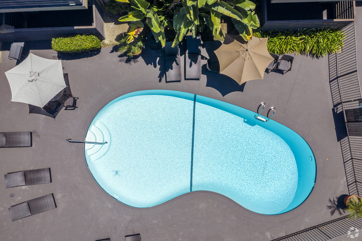Pool - Elan Avante