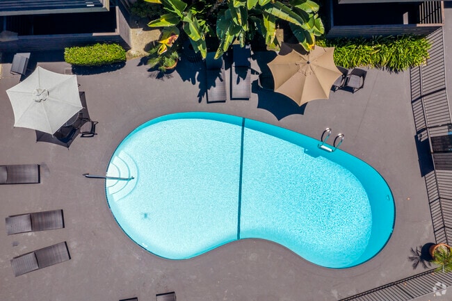 Pool - Elan Avante Apartments