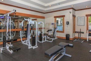 Foto del edificio - 3653 Timberglen Rd