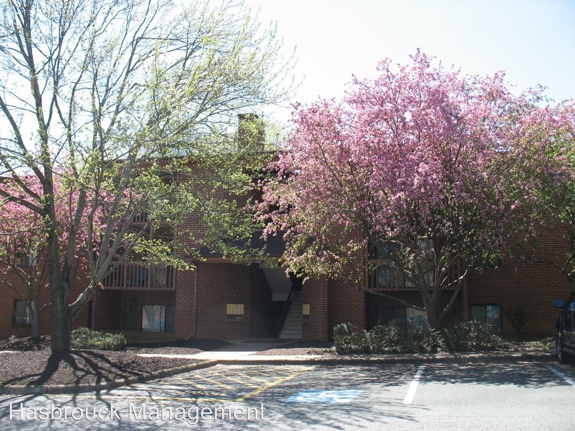 104 Turtle Creek Rd, Charlottesville, VA 22901 House Rental in Charlottesville, VA