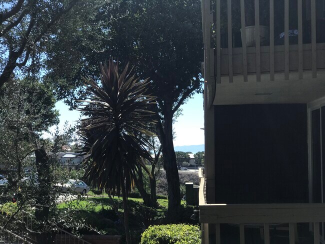 Vista de Catalina (¡cuidado!) - 6542 Ocean Crest Dr