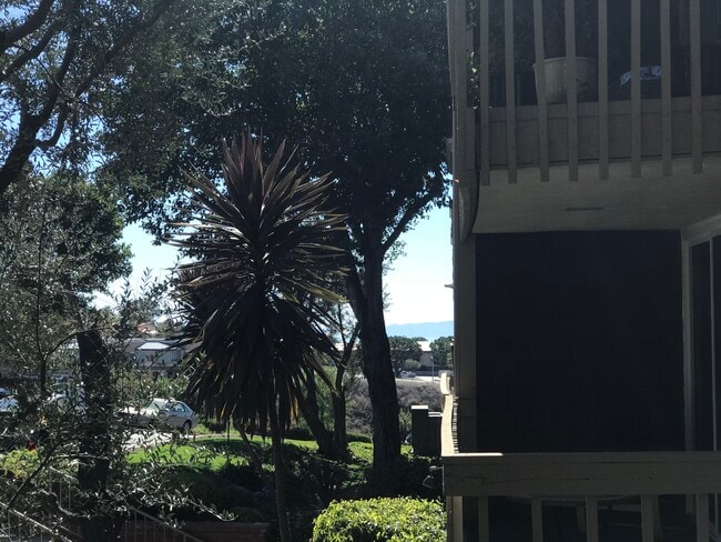 Peek a boo Catalina view - 6542 Ocean Crest Dr