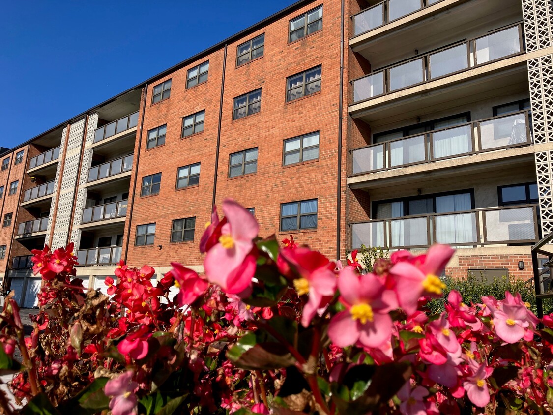 Exterior del edificio - Montgomery Plaza Apartments