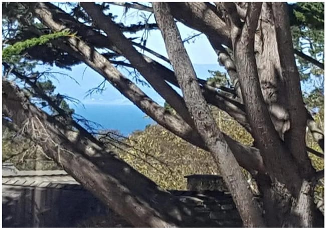 Foto del edificio - 699 Lottie St