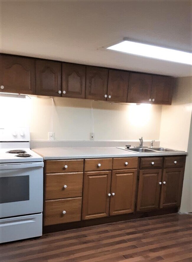 Gabinetes de cocina, estufa y fregadero - 234 W Willow St
