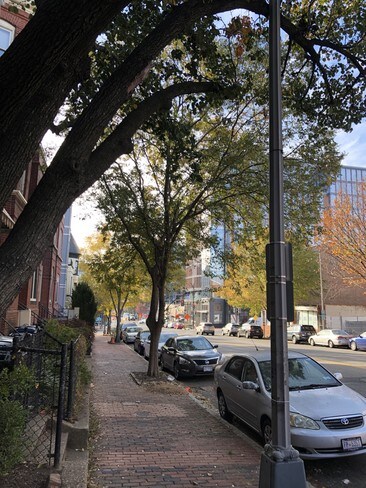 Street View - 1115 6th St NW