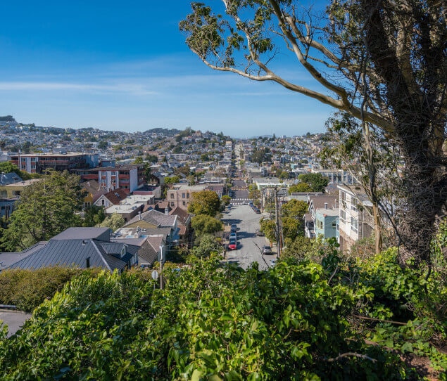 View of Noe Valley from above