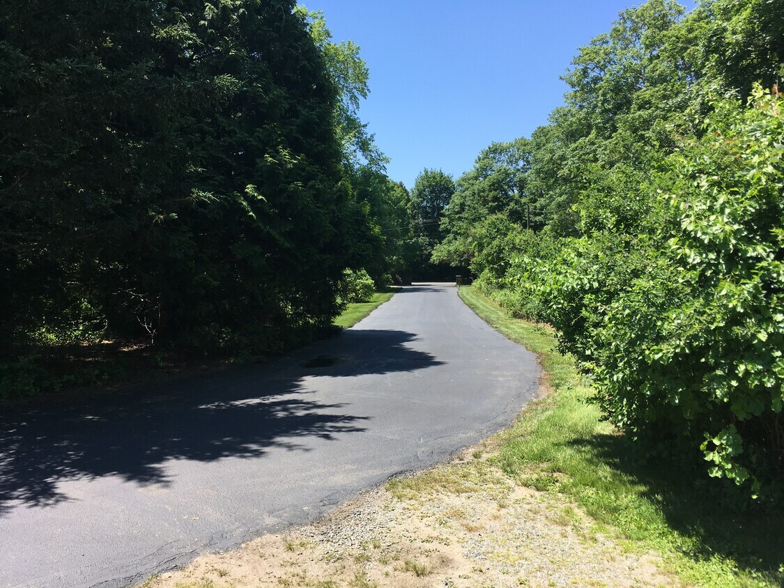 Driveway - 219 Woodruff Ave