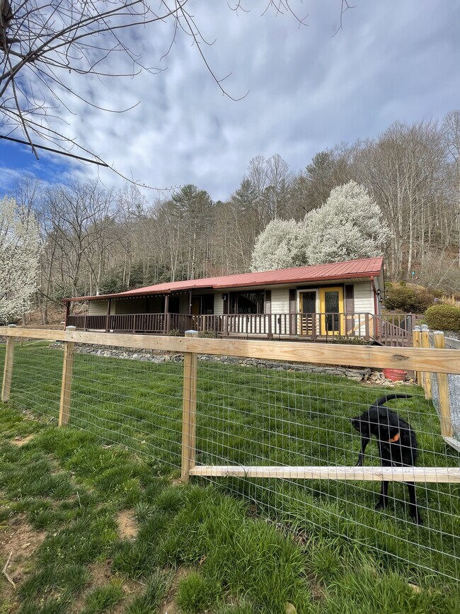 165 Puncheon Camp Rd, Marshall, NC 28753 House Rental in Marshall, NC