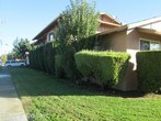 Primary Photo - 8210 Wren Ave