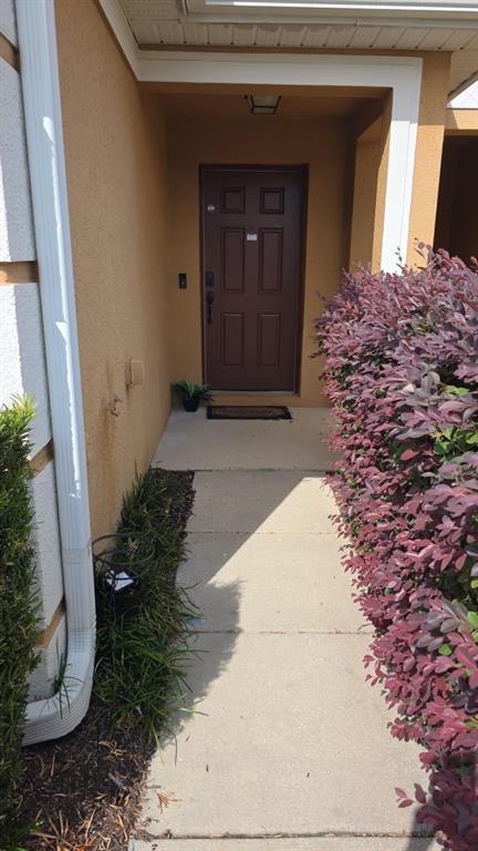 Foto del edificio - 326 Chelsea Dr