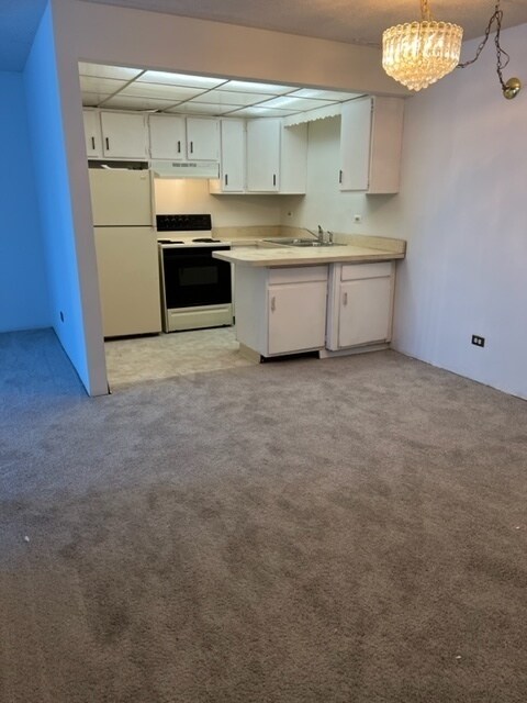 Building Photo - 1557 W Irving Park Rd