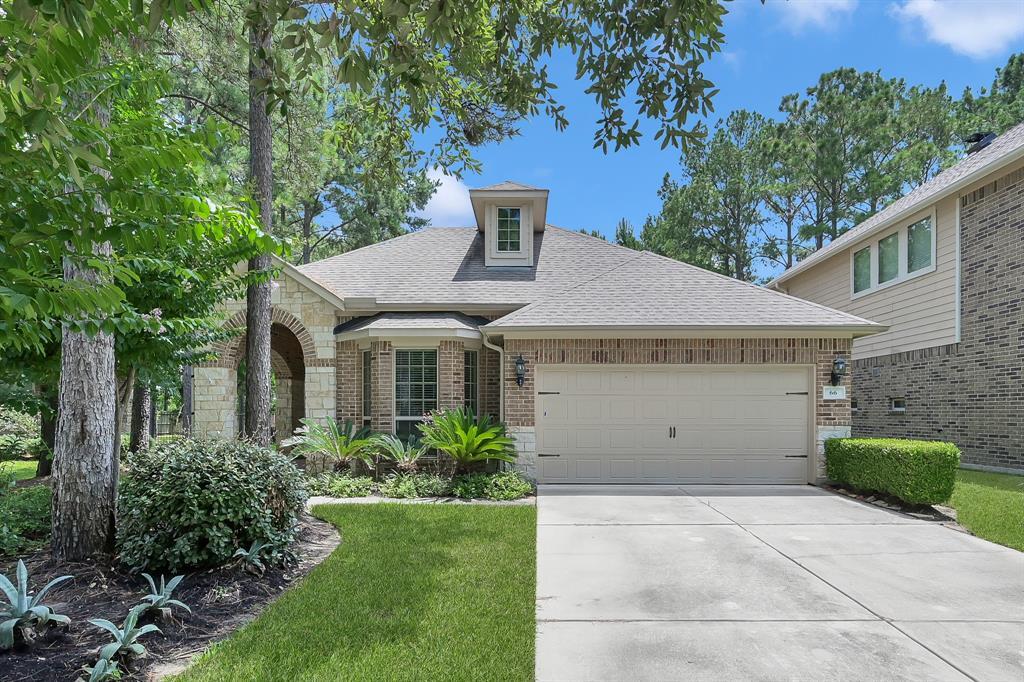 Foto principal - 66 N Whistling Swan Pl