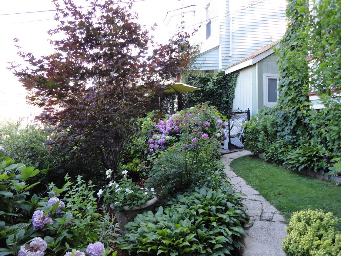 Path to Studio Apt - 206 Daniel Low Terrace