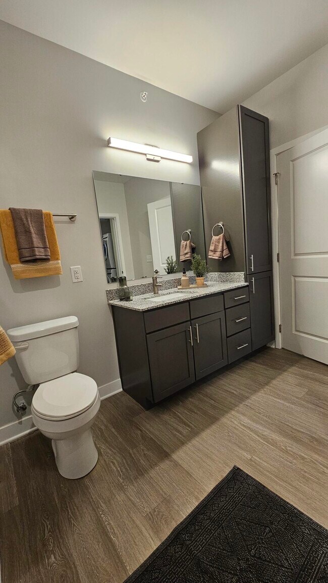 The Carlyle at Chatham Hills Apartments Apartments in Westfield, IN