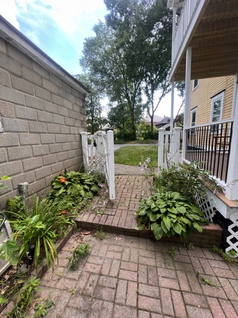 Primary Photo - 38 Ivy St