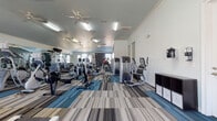 This fitness center offers a spacious, single-floor layout designed to accommodate a full range of workout activities. The main exercise area is generously proportioned, featuring stylish multi-toned striped carpet tiles in shades of blue, gray, and brown that add a modern visual character to the floor throughout the space.

The room is equipped with an extensive array of machines, including multiple treadmills, rowing machines, stationary bikes, and a wide selection of Precor and cable-based strength-training equipment. A dedicated free weights section lines one wall, offering a full dumbbell rack and adjustable benches. Large wall-to-wall mirrors along one side of the room amplify the sense of space and allow users to monitor their form during exercise.

Ceiling fans are distributed throughout the area, paired with overhead fluorescent lighting to ensure consistent illumination and air circulation. Crown molding adds a refined architectural detail to the upper walls. Arched windows allow natural light to filter in, contributing to an open and inviting atmosphere.

A set of double glass doors provides direct access to an outdoor pool area, visible from within the fitness center. Restroom facilities are conveniently located adjacent to the main workout floor. A wall-mounted water fountain and sanitation stations round out the practical amenities of this well-appointed fitness space.