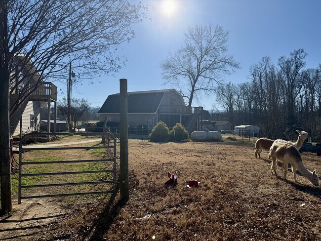 Foto del edificio - 3521 Mint Rd