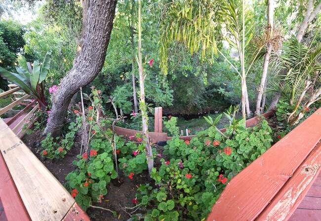 Foto del edificio - Free standing cozy creekside Downtown home