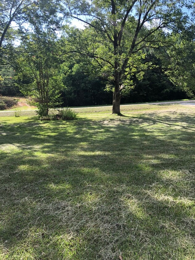 Primary Photo - 1541 MS-9