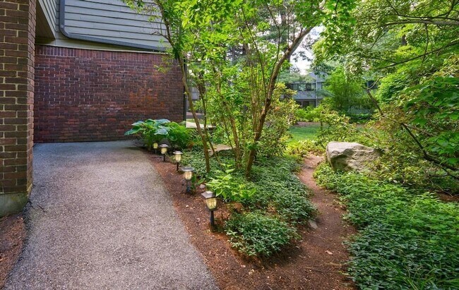 Foto del edificio - 559 Great Elm Way
