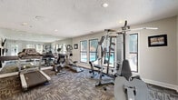 The Woodland Trace Apartments fitness center is a compact, single-room facility designed to meet a variety of exercise needs. The room features a textured ceiling with recessed lighting that provides bright, even illumination throughout. Patterned, multi-tone carpet tiles cover the floor, adding a modern aesthetic while offering comfortable underfoot support during workouts.

Large windows line multiple walls, flooding the space with natural light and offering pleasant views of the surrounding outdoor areas, including the community pool and tree-lined grounds. A full-length wall mirror on one side visually expands the room and allows users to monitor their form during exercise.

The fitness center is equipped with a diverse selection of cardio machines, including treadmills, ellipticals, and a recumbent bike, as well as a multi-station cable weight machine and free weights. A wall-mounted flat-screen television keeps members entertained during workouts. Additional fitness accessories, including resistance bands and a yoga mat, are neatly organized on a dedicated wall-mounted rack beneath the Woodland Trace Apartments branding sign. A hand sanitizer station and posted fitness room rules reflect a commitment to cleanliness and community standards. An exterior door provides direct access to the outdoor amenity areas.