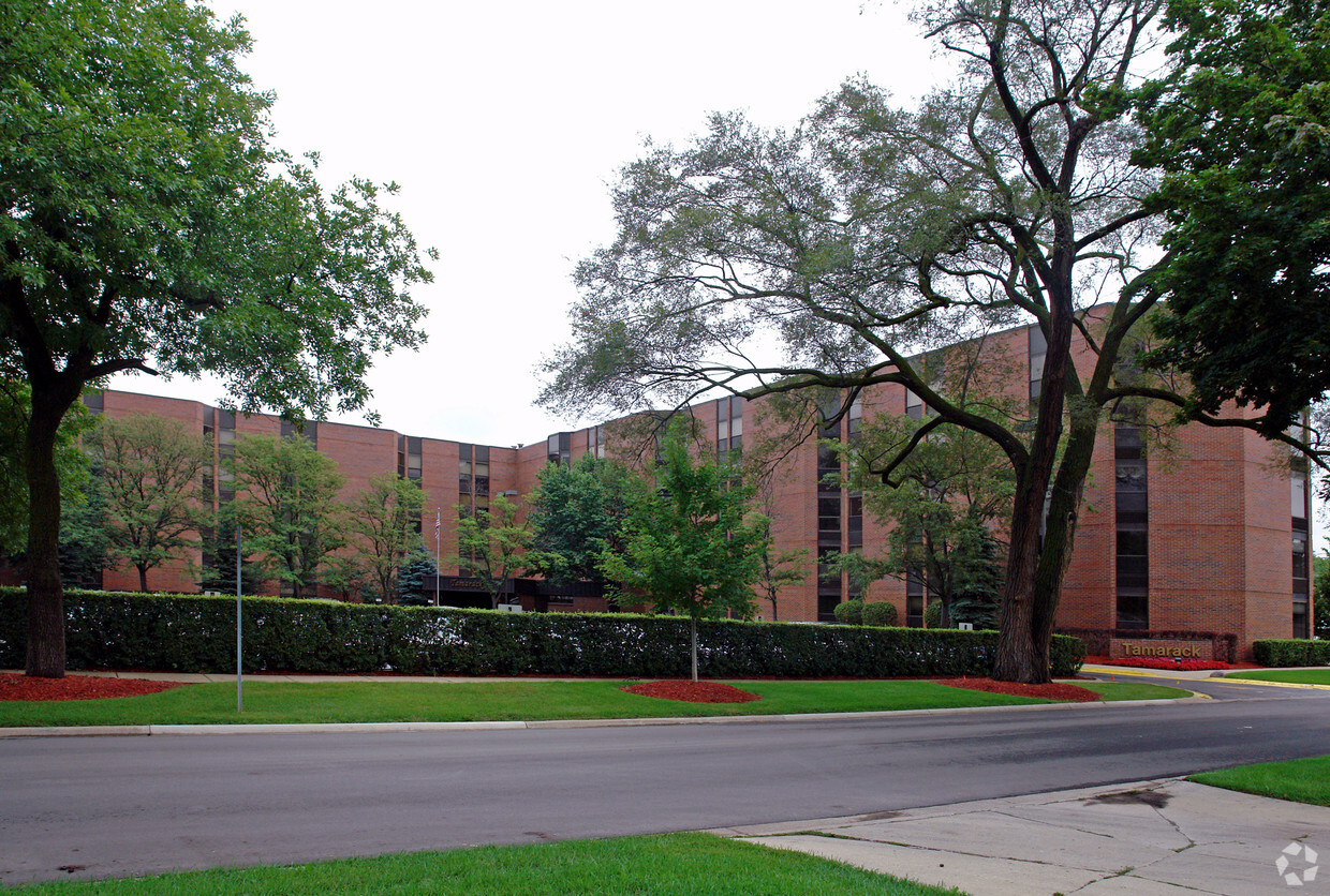 Primary Photo - Solstice Senior Living at Palatine