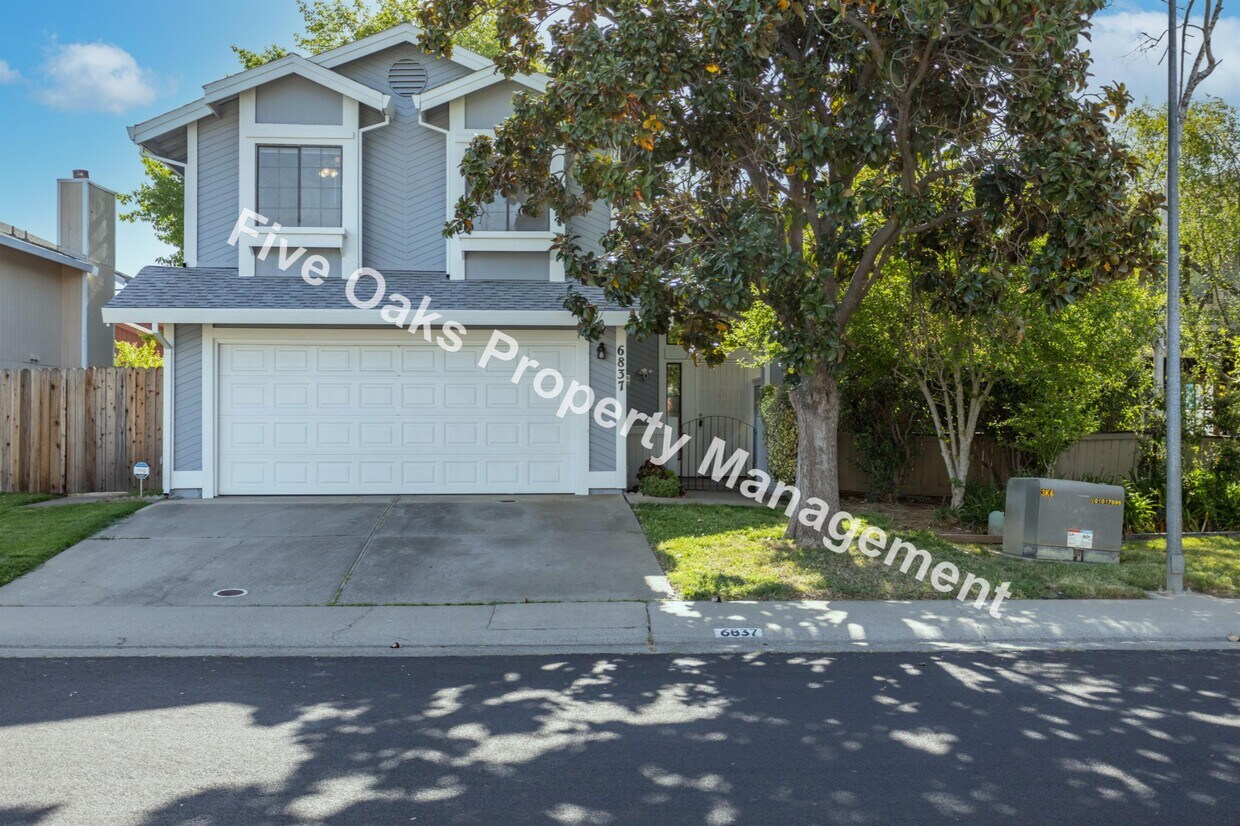 6837 Springmont Dr, Elk Grove, CA 95758 House for Rent in Elk Grove