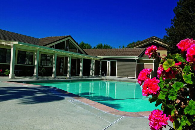 Sparking swimming pool - Belmont Apartments