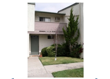 Citrus Grove Apartaments - Citrus Grove Apartments