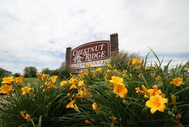 Exterior - Chestnut Ridge Apartments