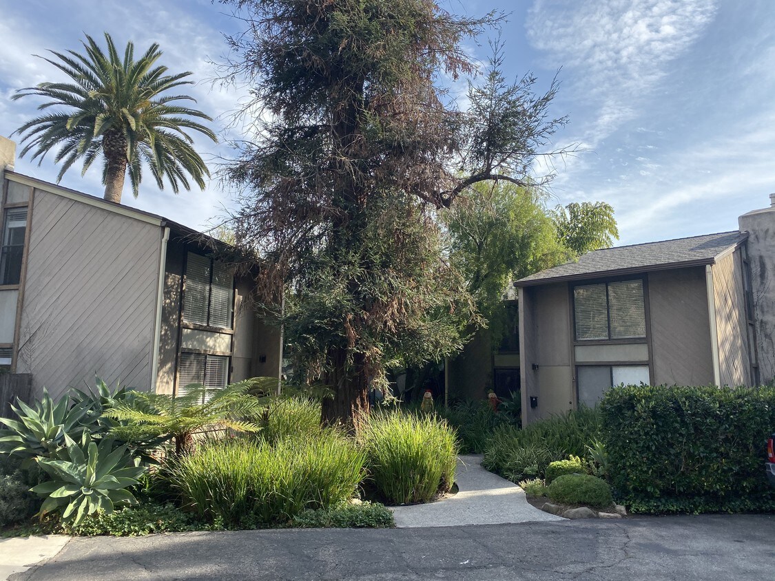 Primary Photo - 1222 Carpinteria St