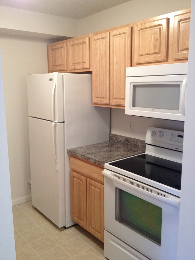 1001 Carom Cir Unit 1001, Mason, MI 48854 Condo for Rent in Mason, MI