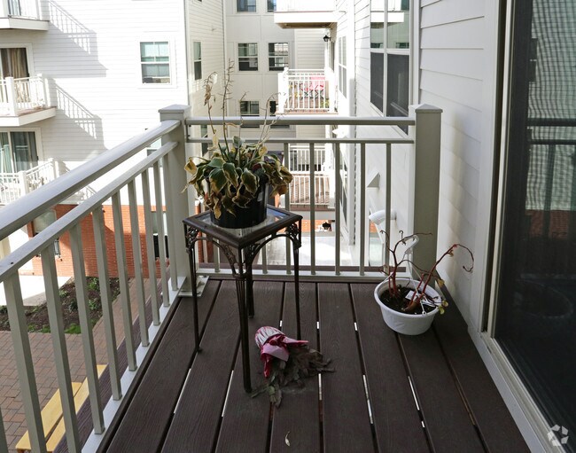 Lincoln Park Rentals Newark, NJ