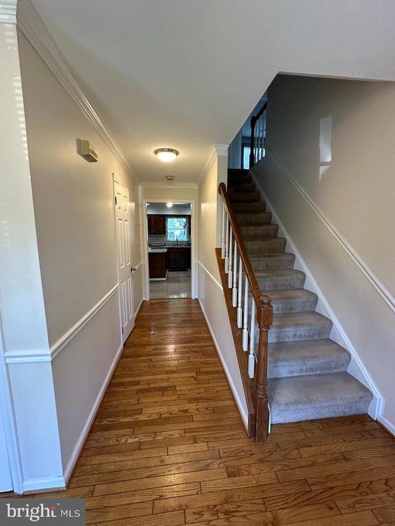 Foto del edificio - 893 Broad Oaks Dr
