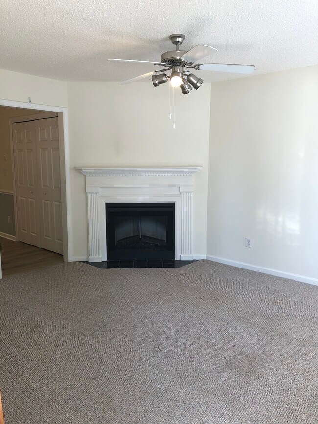 Living Room Fireplace - 860 Spring Forest Rd