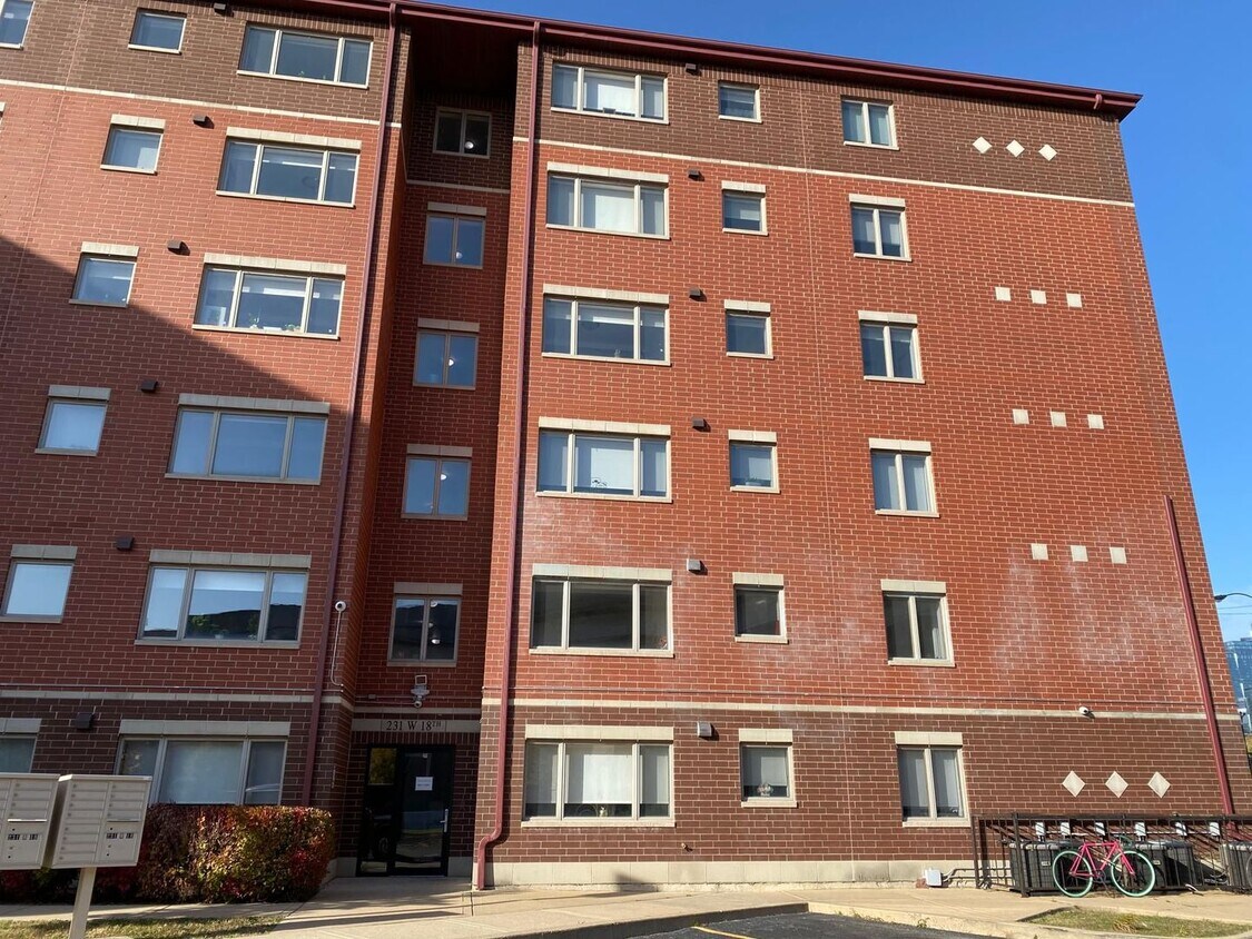 231 W 18th St Unit 5C, Chicago, IL 60616 Condo for Rent in Chicago
