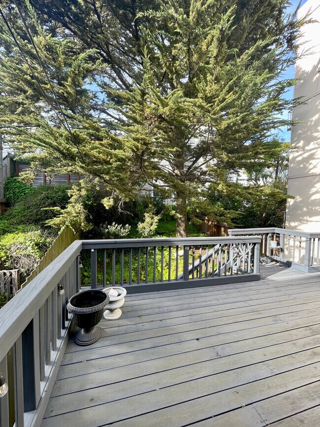 Shared Deck and Garden - 3250 Sacramento St
