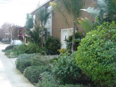 Building Photo - 13530 Moorpark St