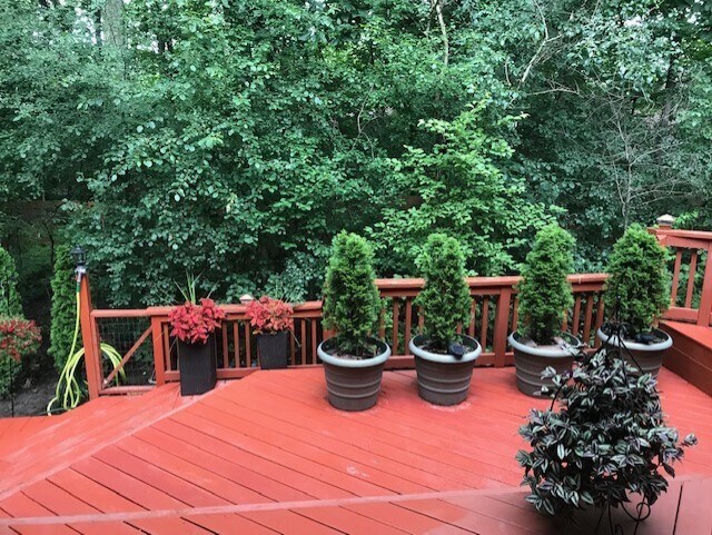 Foto del edificio - 859 Charles St