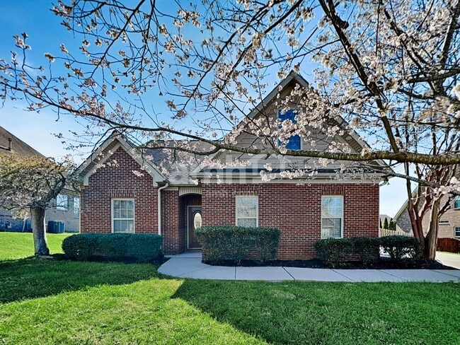 Building Photo - 1729 Bonnie Roach Ln