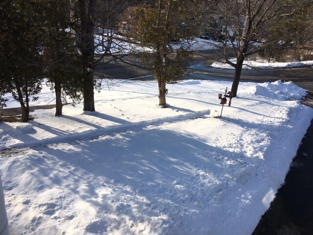 Side yard view - 243 Brook St