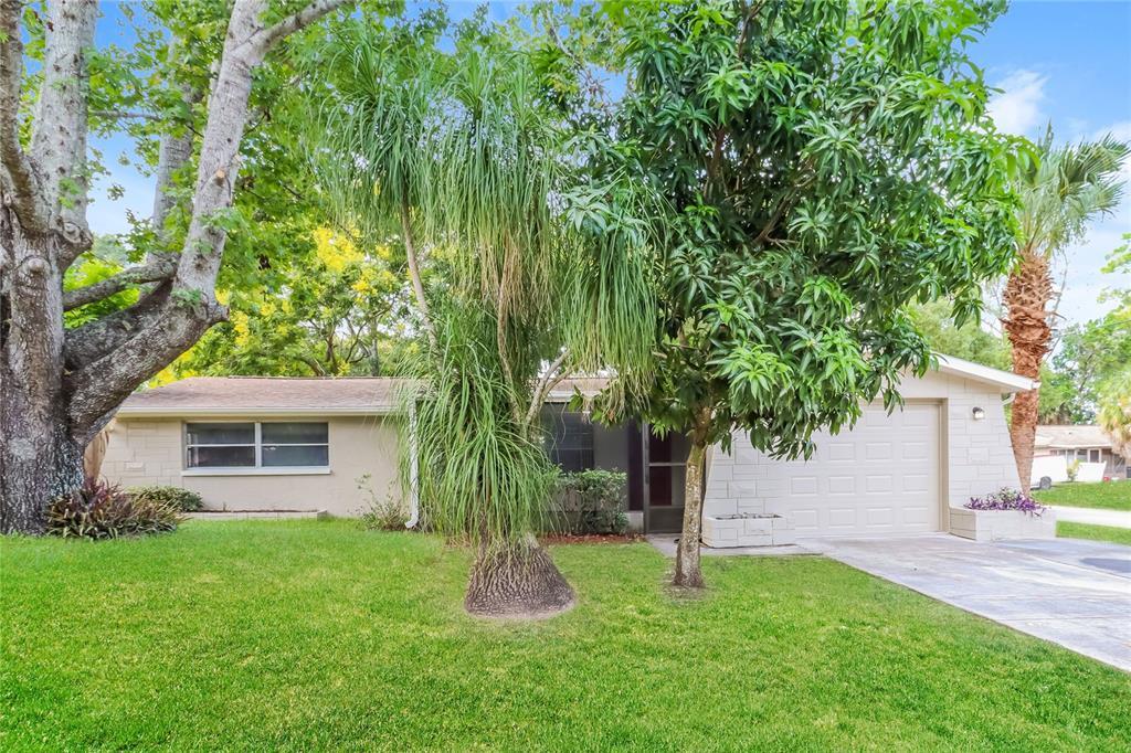 Primary Photo - 6255 Maplewood Dr