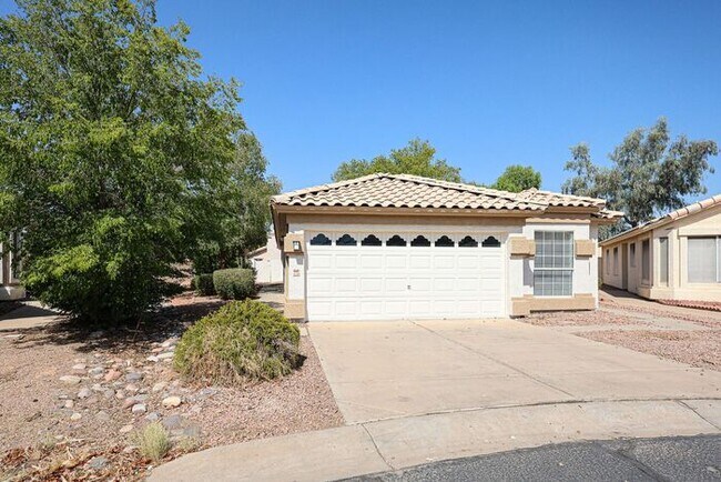 Foto del edificio - 3 Bed, 2 bath single level home in great Chandler location.