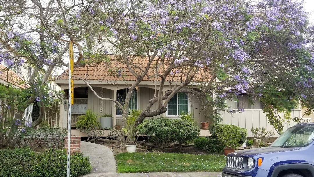 Foto principal - 2249 20th St