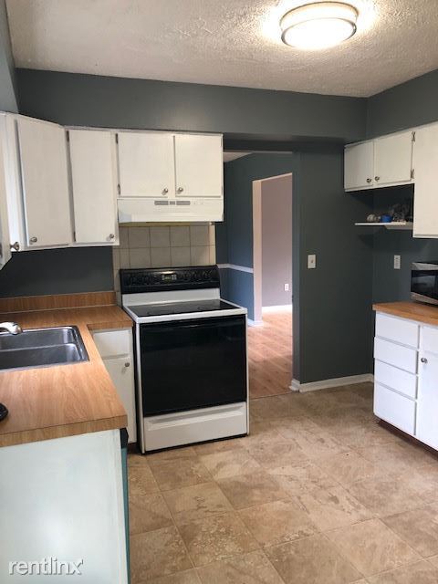Building Photo - 4 br, 2.5 bath House - 3170 E Lake Lansing Rd