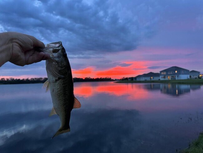 Foto del edificio - 3049 Ella Wy