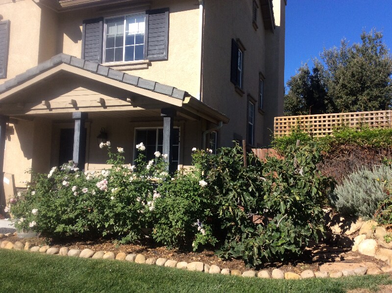 Foto principal - 1 Valley Station Cir