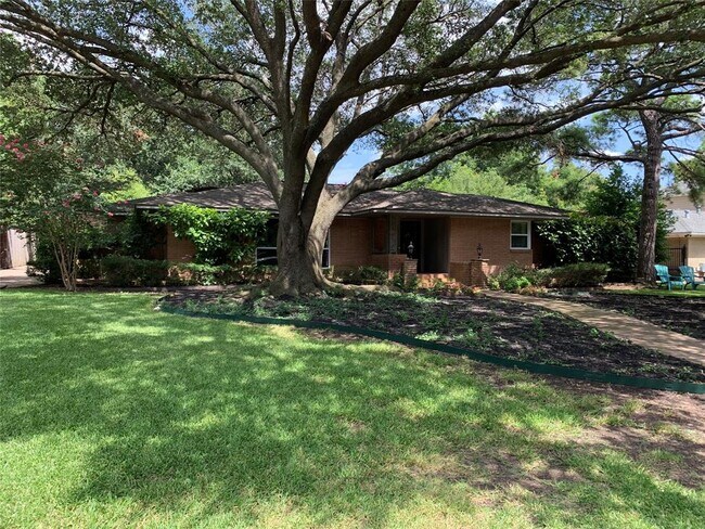 Building Photo - 11208 Pinocchio Dr