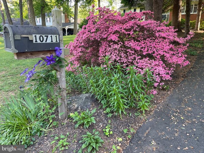 Foto del edificio - 10711 Dudley Ct